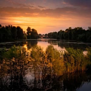 Gentle Rhythms for Calm Evenings - Relaxing Well