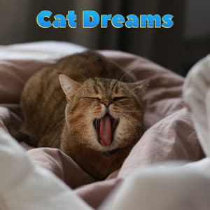 Cat Dreams - Music For Cats