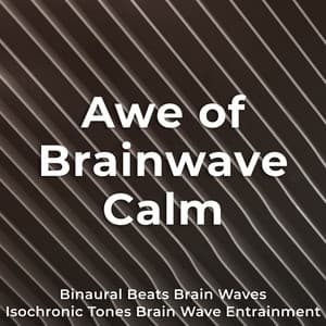 Awe of Brainwave Calm - Binaural Beats Brain Waves Isochronic Tones Brain Wave Entrainment