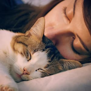 Notas De Ronroneo: Música Para La Serenidad De Los Gatos - Música instrumental alegre