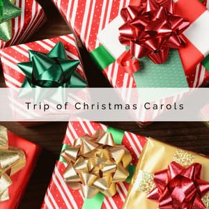 A Trip of Christmas Carols - Silent Night Music