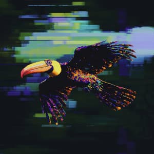 空飛ぶ鳥の楽園 - Paz Sounds