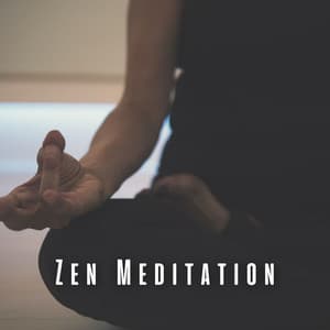 Zen Meditation: Calming Chill Music and Lofi Tunes - Lofi Quality Content