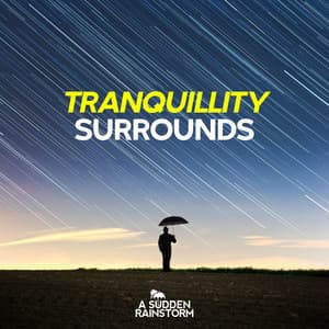 Tranquillity Surrounds - A Sudden Rainstorm