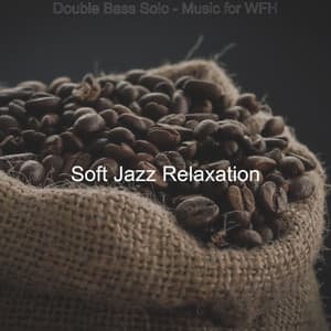 Double Bass Solo - Music for WFH - Soft Jazz Relaxation