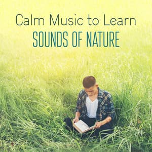 Calm Music to Learn with the Sounds of Nature. Study with Instrumental Music - Exam Study Music Academy