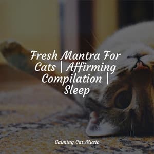 Fresh Mantra For Cats | Affirming Compilation | Sleep - Pet Care Music Therapy
