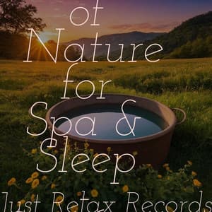 50 Deeply Relaxing Sounds of Nature for Spa & Sleep - Comforting - Thunderstorm Sound Bank