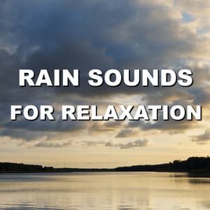 Rain Sounds for Relaxation - Wind and Rain Sounds