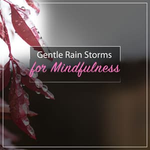 1 Hour Gentle Rain Storms for Mindfulness - Nature & Sounds Backgrounds