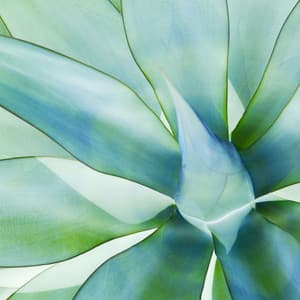 Astounding Background Music for June and Chill - Jazzy VIbes for Study Time