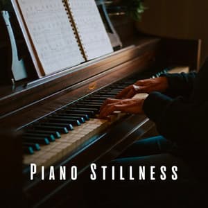 Piano Stillness: Meditation Sounds for Harmony - Relaxing Piano Music Universe