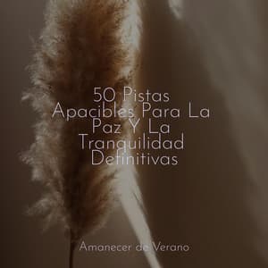 50 Pistas Apacibles Para La Paz Y La Tranquilidad Definitivas - Deep Sleep Relaxation