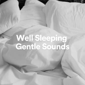 Well Sleeping Gentle Sounds - Fan Sounds For Sleep