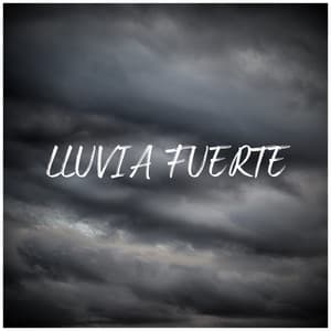 Lluvia Fuerte - Sonido Del Bosque y Naturaleza