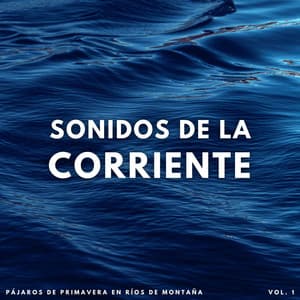 Sonidos De La Corriente: Pájaros De Primavera En Ríos De Montaña Vol. 1 - Sonidos épicos de la naturaleza