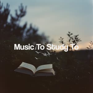 Music To Study To - Kundalini: Yoga, Meditation, Relaxation