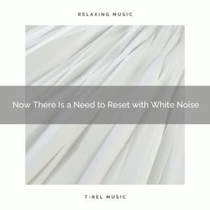 Now There Is a Need to Reset with White Noise - Noise Radio 1