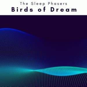 1 Birds of Dream - The Sleep Phasers