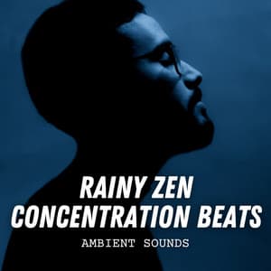 Ambient Sounds: Rainy Zen Concentration Beats - Concentration Rain Sounds