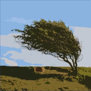 Soothing Winds and Rain for Background Sounds and White Noise - Rain Background Noise