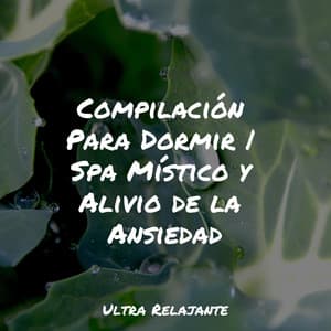 Compilación Para Dormir | Spa Místico y Alivio de la Ansiedad - Piano para Relajarse