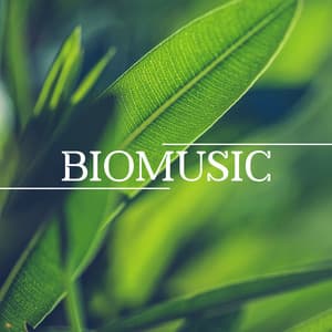 Biomusic: Relaxing Music With Nature Sound Effects - Universe of Nature Orchestra