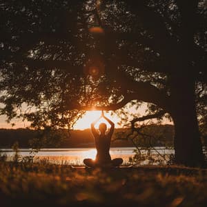 Capas Armónicas: Música A Través De La Profundidad - Música para Bañarse Especialistas