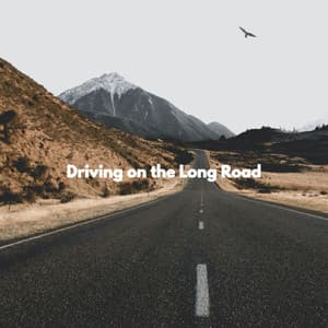 Driving on the Long Road - Trabajar desde Casa