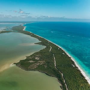 Better Sleep Brown Sound - Black Noise Sleep