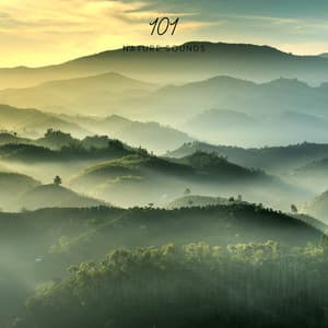 Enchanted Forest Lullaby - 101 Nature Sounds