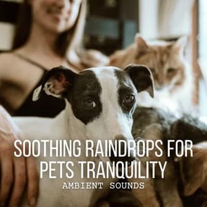 Ambient Sounds: Soothing Raindrops for Pets Tranquility - Rain Noise Sleep