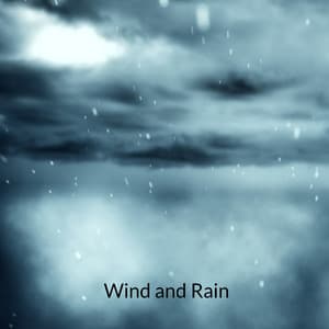 Wind and Rain - Rain Sound