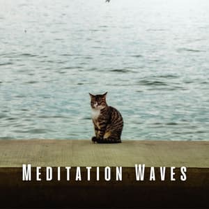 Meditation Waves: Ocean Souds for Soothing Cats - Meditation Music Collective