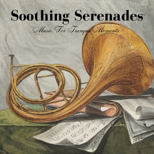 Soothing Serenades: Music For Tranquil Moments - Soothing Music Collection
