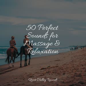 50 Perfect Sounds for Massage & Relaxation - Guided Meditation Music Zone
