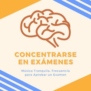 Concentrarse en Exámenes: Música Tranquila, Frecuencia para Aprobar un Examen - Memoria Linda