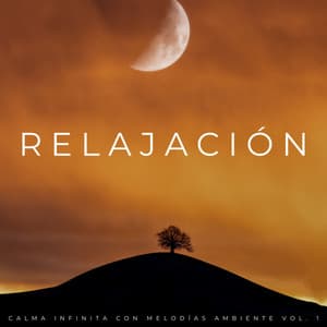 Relajación: Calma Infinita Con Melodías Ambiente Vol. 1 - Ruido de Meditación