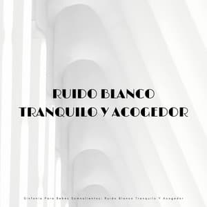 Sinfonía Para Bebés Somnolientos: Ruido Blanco Tranquilo Y Acogedor - Ruido blanco para bebés y ruido blanco para bebés