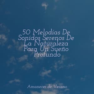 50 Melodías De Sonidos Serenos De La Naturaleza Para Un Sueño Profundo - Relajación Meditar Academie