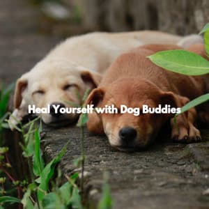 Heal Yourself with Dog Buddies - Jazz Lounge Bar Radio