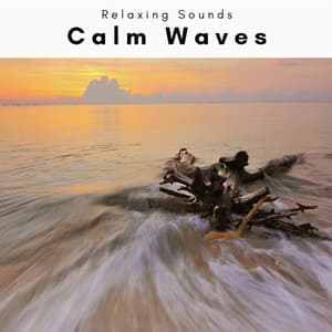 A Calm Wave - Seashore Waves