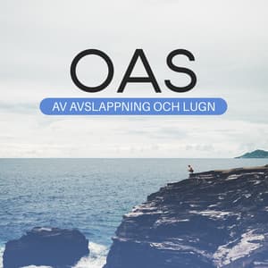 Oas av avslappning och lugn - Zen Musik Akademi