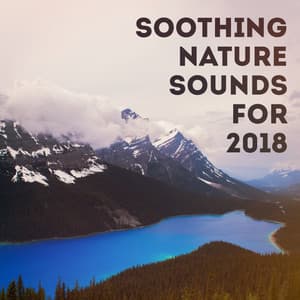 Soothing nature sounds for 2018 - Nature Sound Collection