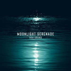 Moonlight Serenade : Peaceful Midnight - Soothing Baby Music Ensemble