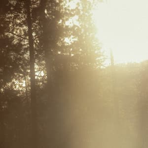 10 AM Wellness: Among The Garden - between waves