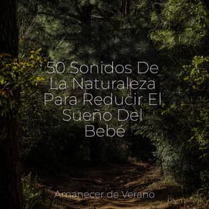 50 Sonidos De La Naturaleza Para Reducir El Sueño Del Bebé - Relaxing Music
