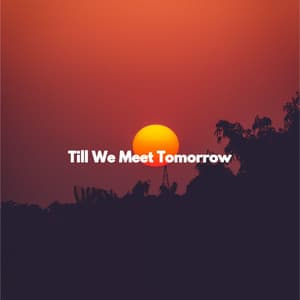 Till We Meet Tomorrow - Boutique Hotel Music