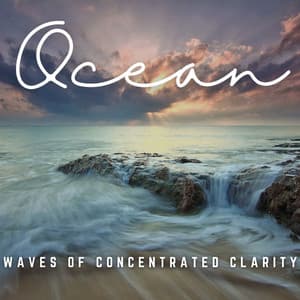 Ocean's Concentration Oasis: Finding Clarity in Waves - Oceans and Oceans