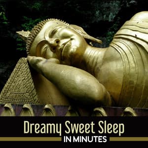 Dreamy Sweet Sleep in Minutes - Natural Sleep Aid Music Zone